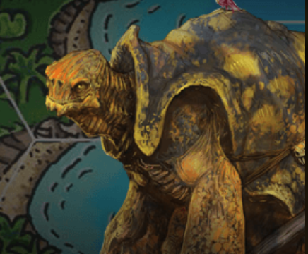 Tortle D&D 5th Edition (5E)