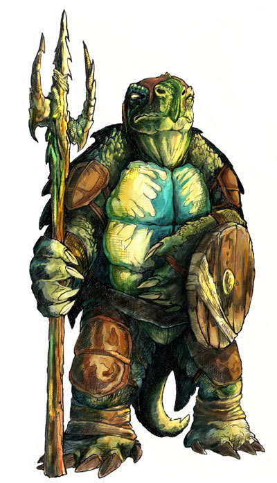 5e tortle 